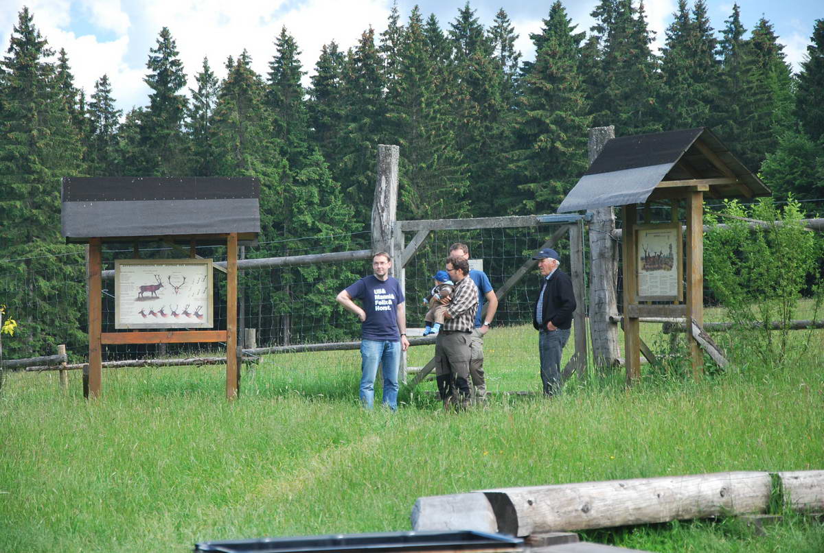 2012-06-10 Hohenroth 037.jpg